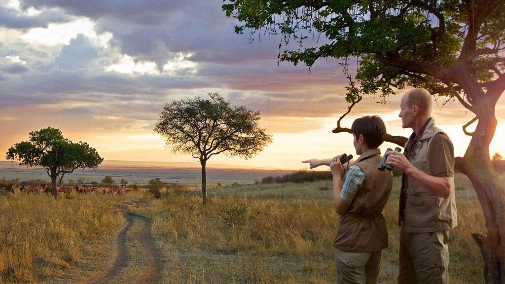 01-Banner-Couple-on-safari-holding-binoculars-and-standing-next-to-tree-overlooking-road-and-sunset