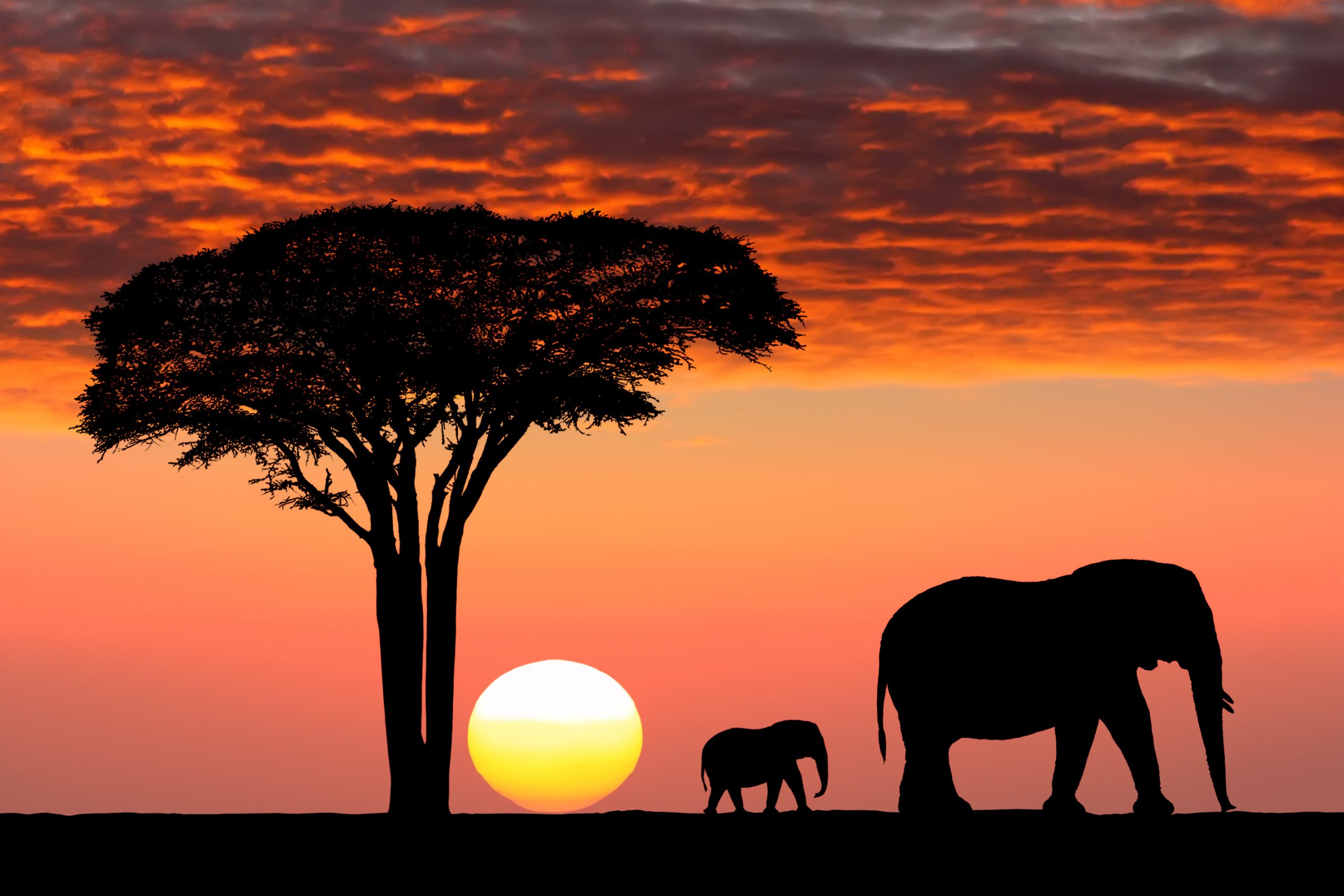 A Guide to Tanzanias Best Sunset Safari Spots