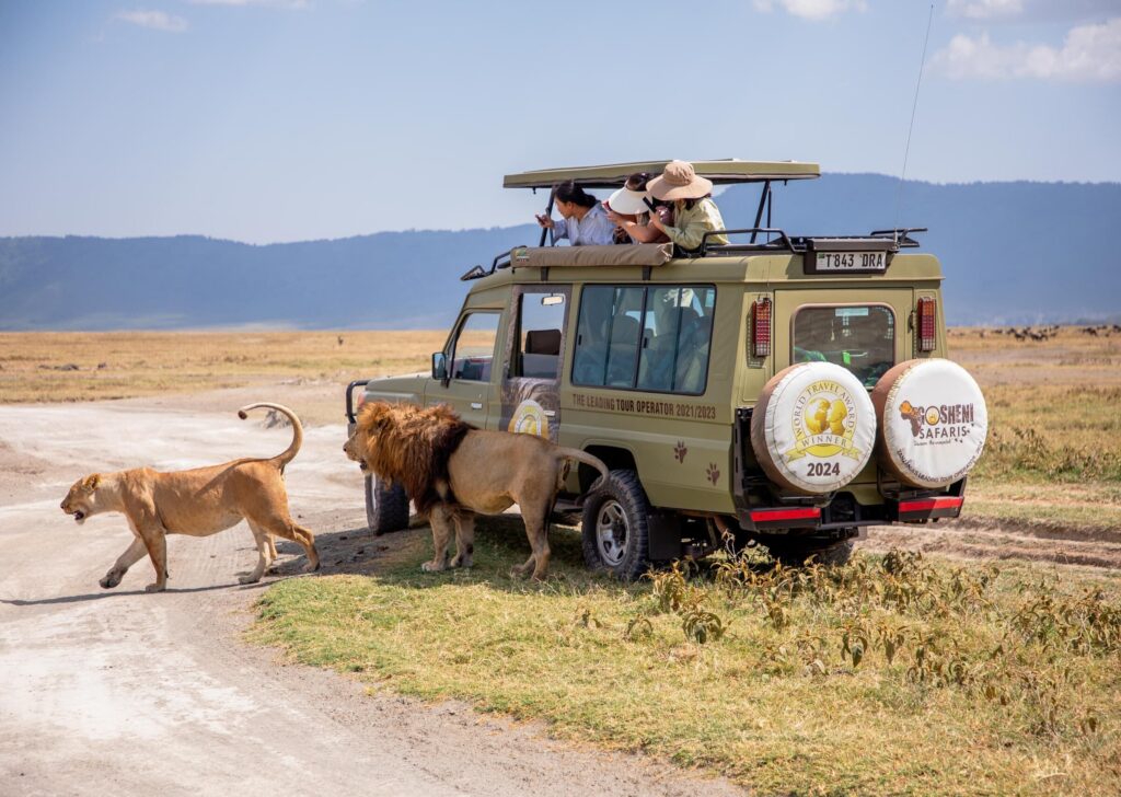 a heart pounding safari 1