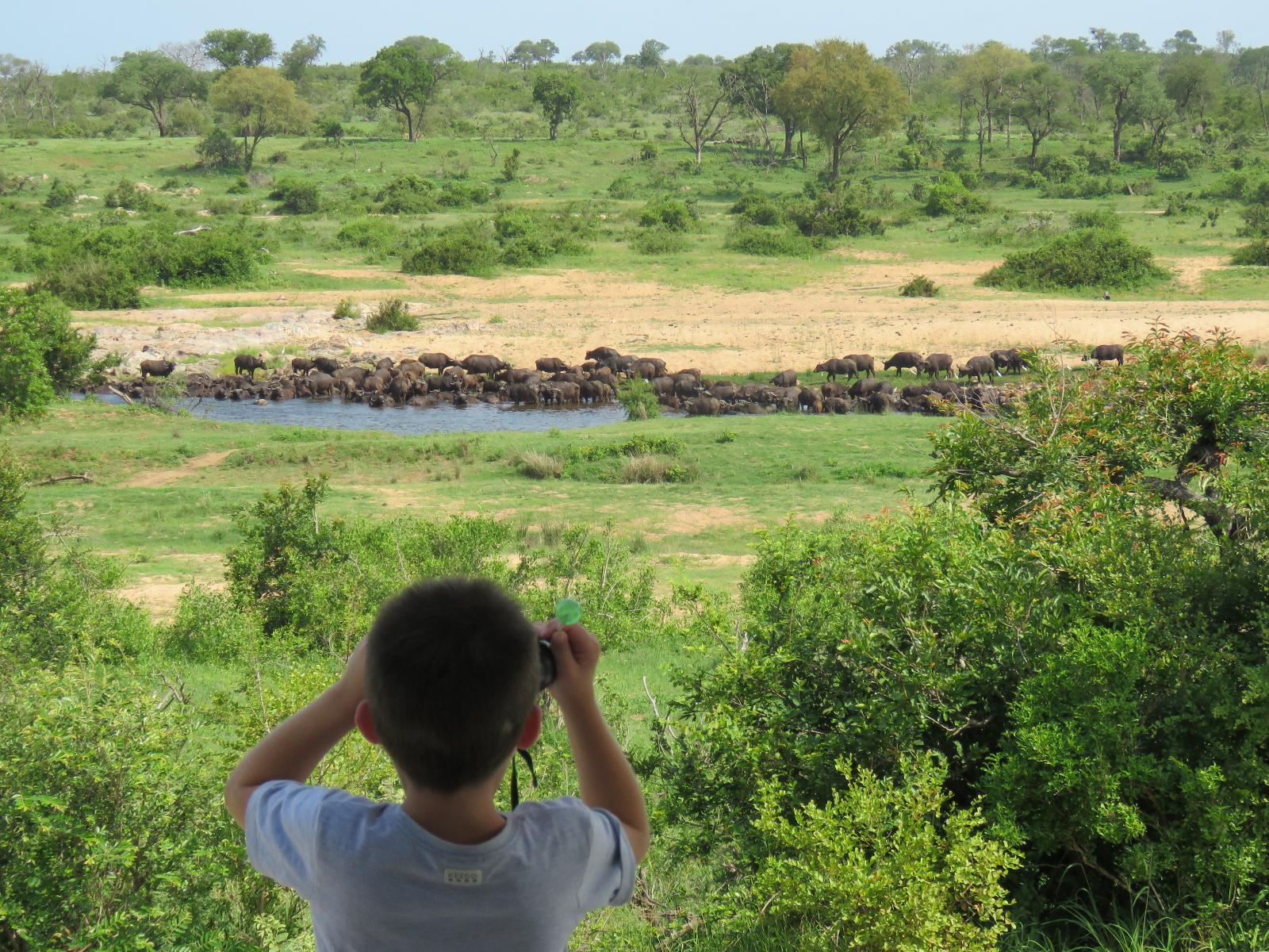 Big Five Safari Tanzania – Multi-Day Serengeti Wildlife Experience