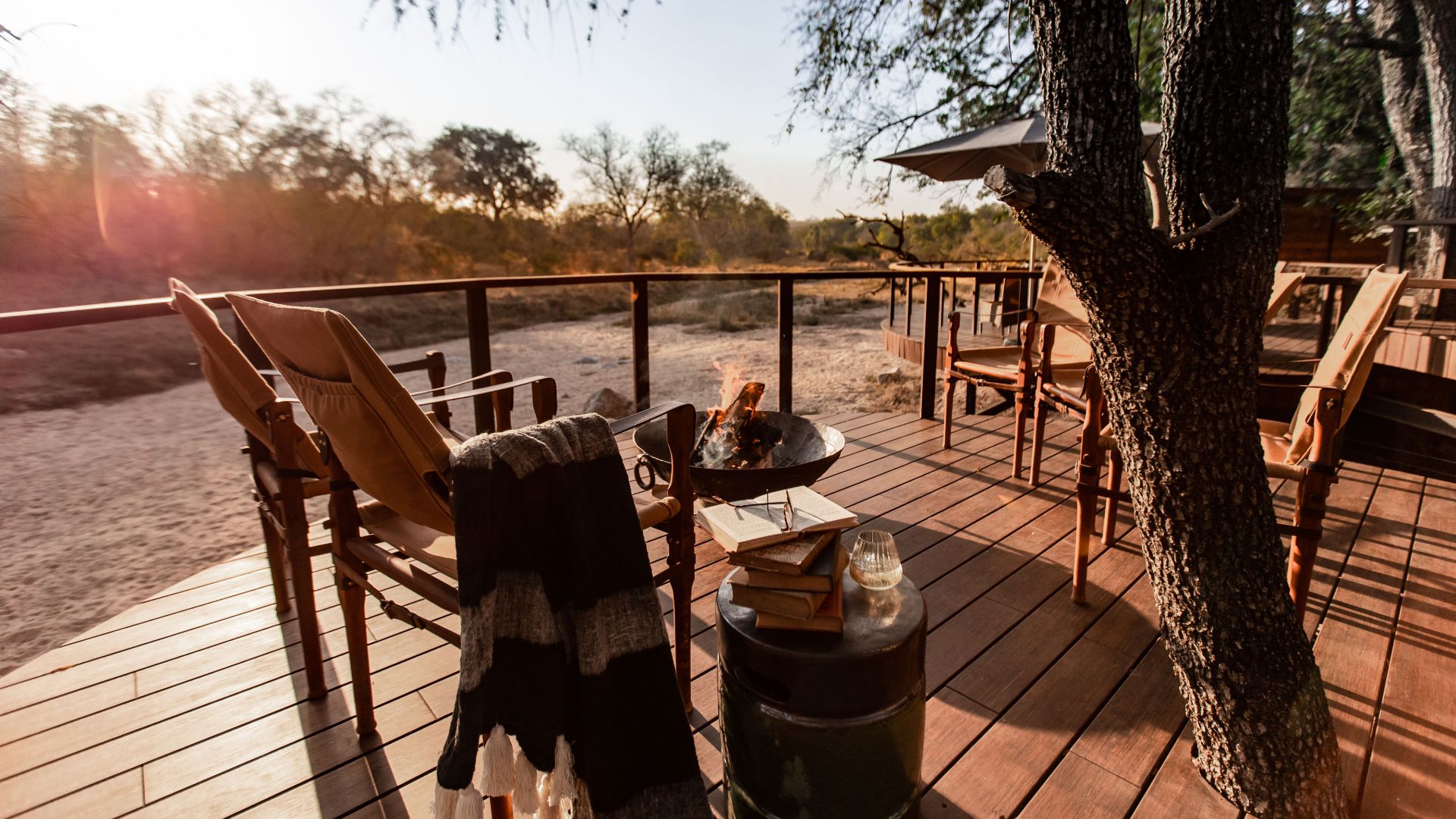 Best Spots to See Lions in the Serengeti – A Wildlife Lover’s Guide