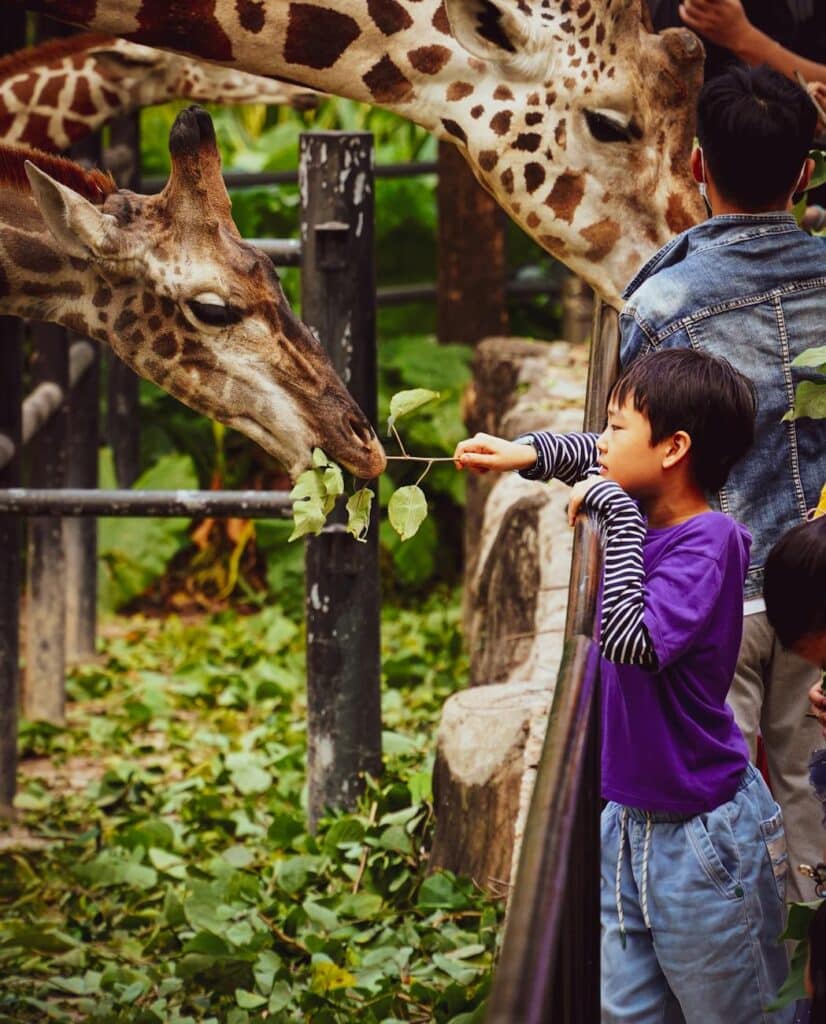 Serengeti Safari Guide for Families — Kids watching giraffes