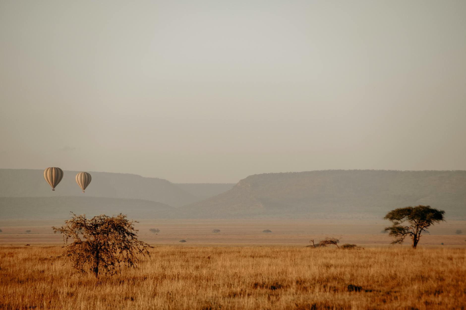 Hot Air Balloon Safari over Serengeti