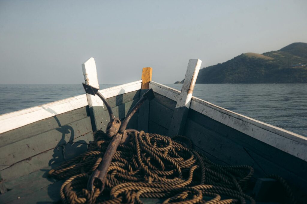 Mahale Mountains Chimpanzee Trekking — Lake Tanganyika Mahale