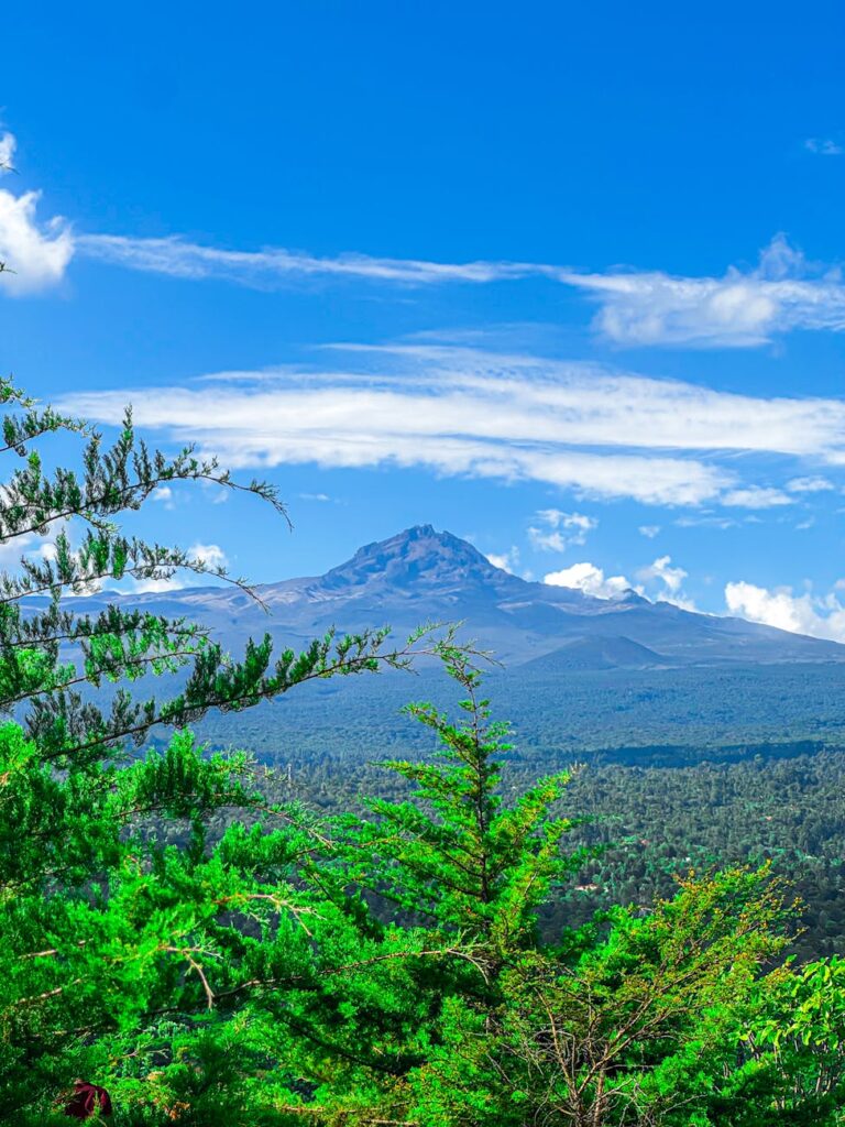 Kilimanjaro Summit Night Experience 2 Kilimanjaro Summit Night Experience — Uhuru Peak sign Kilimanjaro