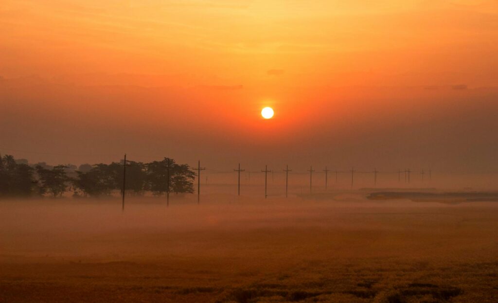 Seasonal Weather Guide for Tanzania — Safari sunrise morning
