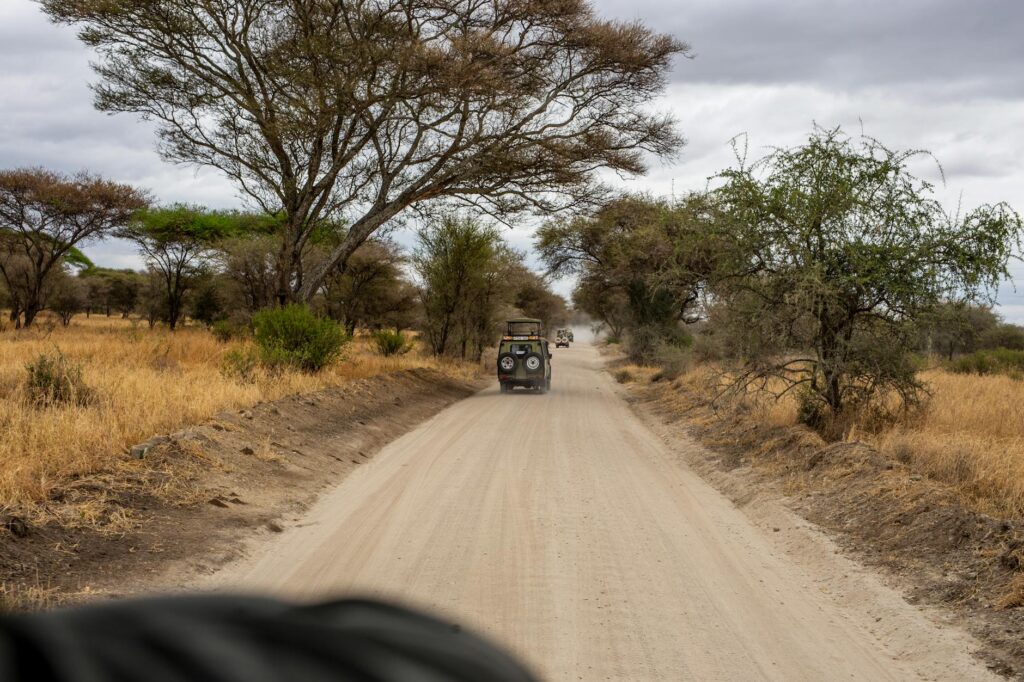 Budget Safari Planning Tips 3 Budget Safari Planning Tips — Cost breakdown safari