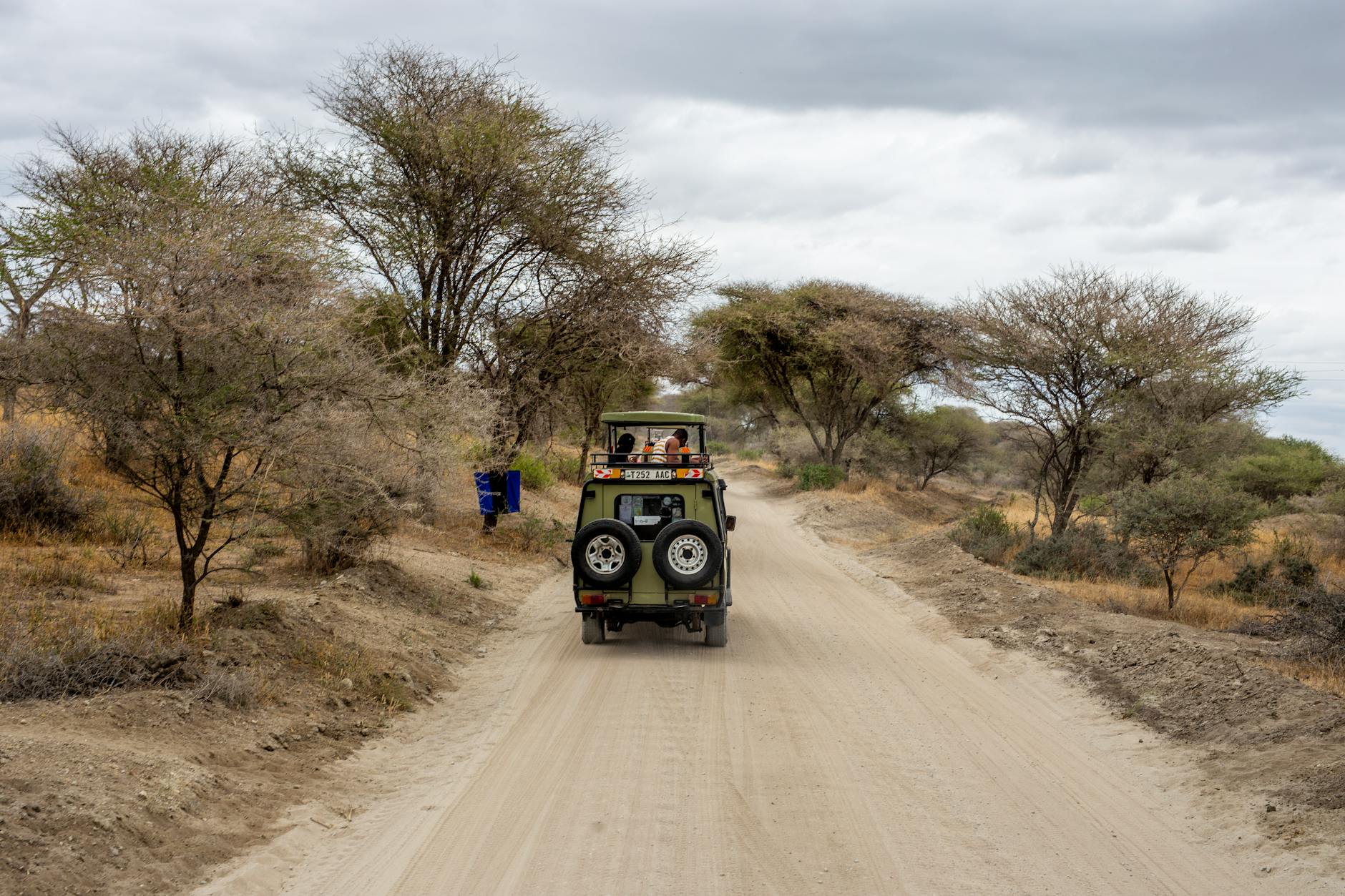 Serengeti Safari Guide for Families