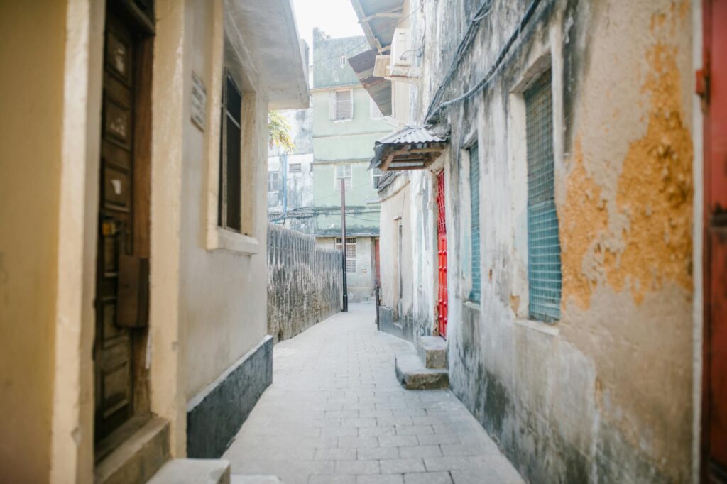 Zanzibar Stone Town Walking Tour — Stone Town alleys Zanzibar