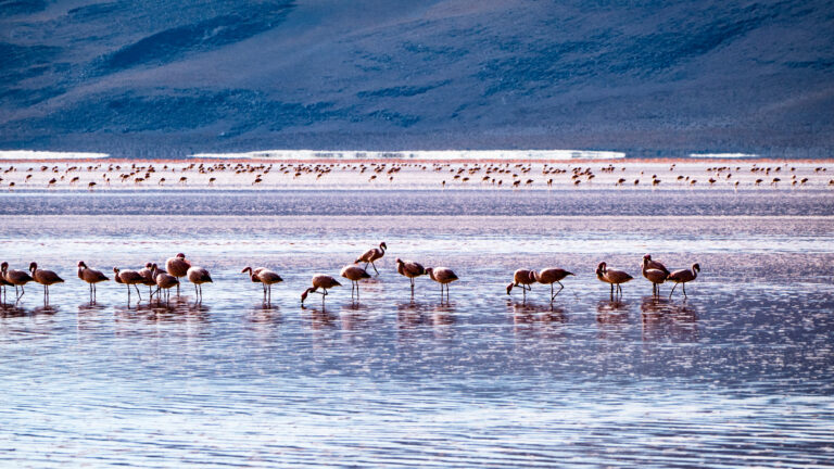 Ngorongoro Crater