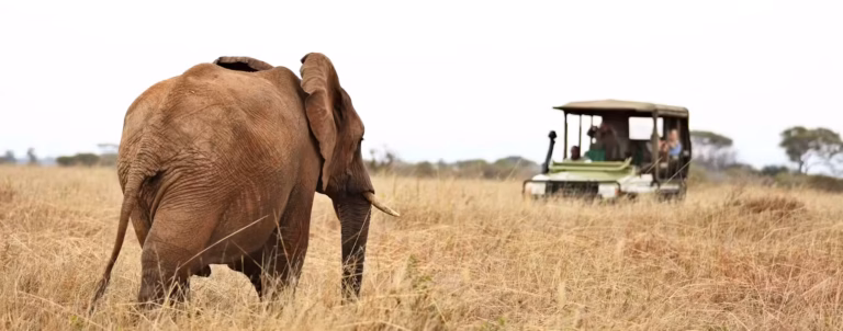 Amboseli National Park